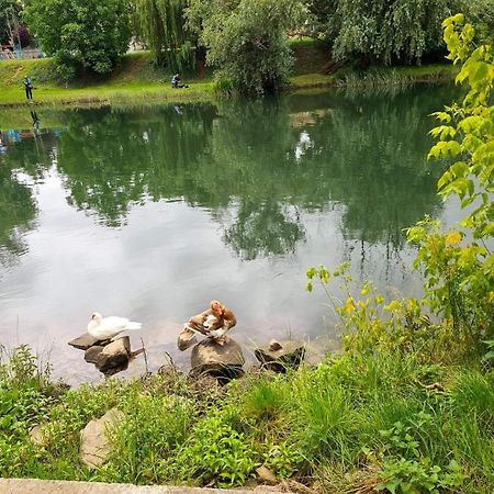 Laci Lak Premium Apartment Nagyvárad Kültér fotó